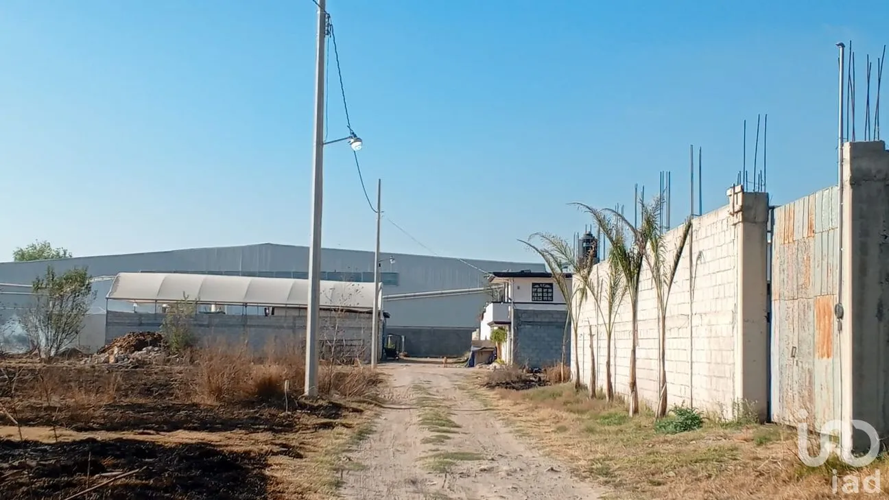 Terreno en Venta en Del Campo, Tepeaca, Puebla | NEX-247406 | iad México | Foto 4 de 16