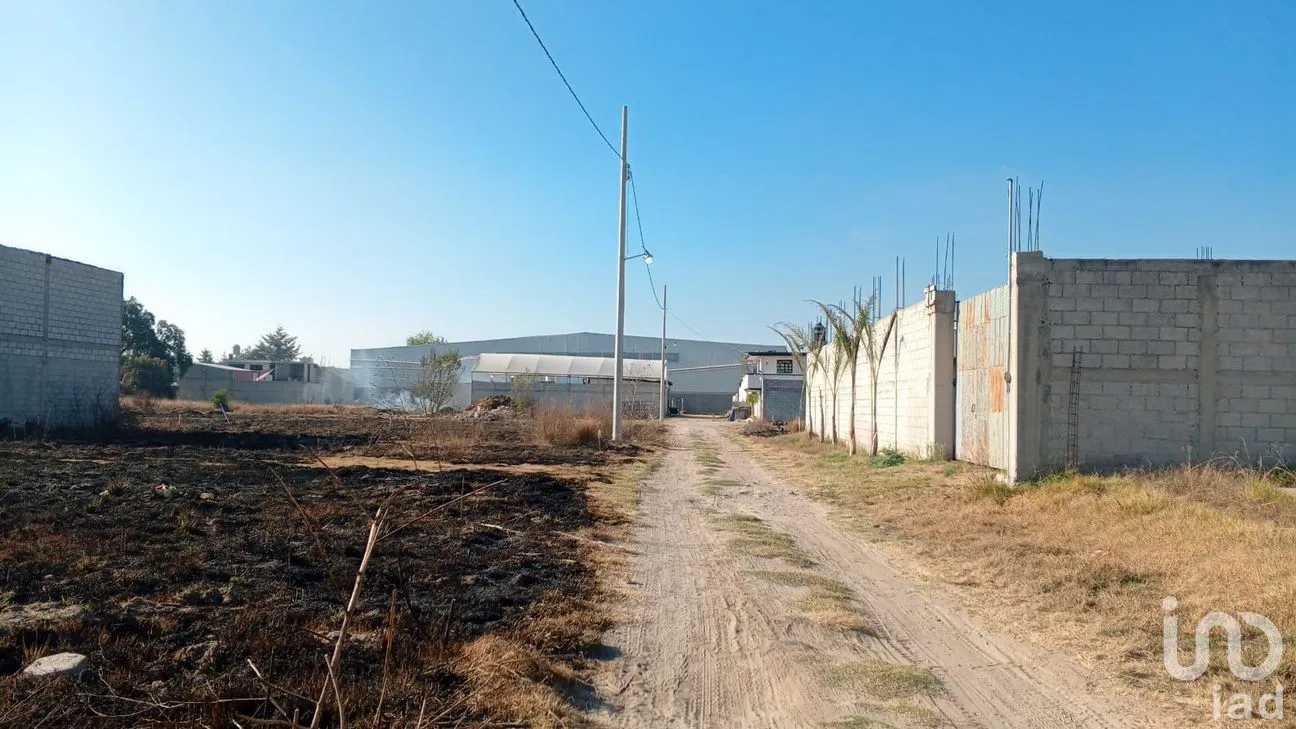 Terreno en Venta en Del Campo, Tepeaca, Puebla | NEX-247406 | iad México | Foto 5 de 16