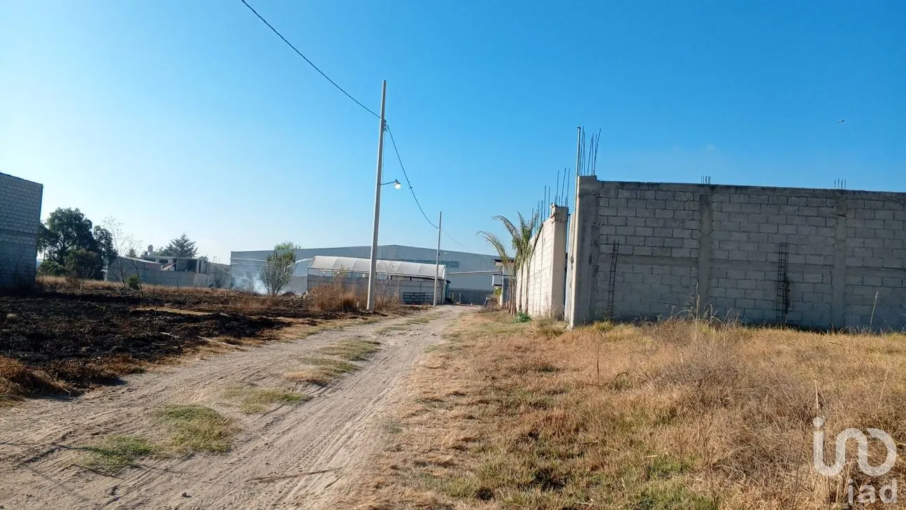 Terreno en Venta en Del Campo, Tepeaca, Puebla | NEX-247406 | iad México | Foto 6 de 16