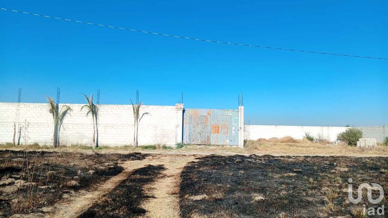 Terreno en Venta en Del Campo, Tepeaca, Puebla | NEX-247406 | iad México | Foto 10 de 16