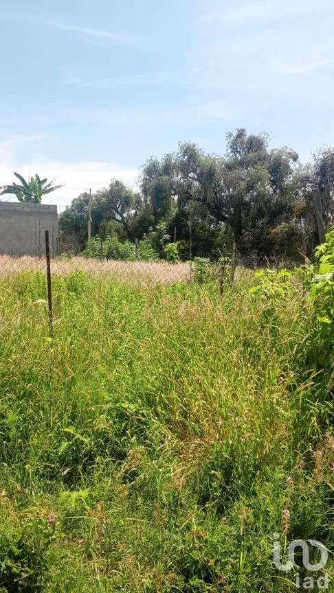 Terreno en Venta en Nueva Alemania, Cuautlancingo, Puebla | NEX-256516 | iad México | Foto 11 de 11