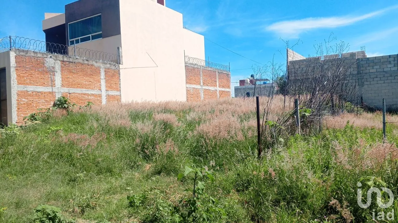 Terreno en Venta en Nueva Alemania, Cuautlancingo, Puebla | NEX-256516 | iad México | Foto 3 de 11