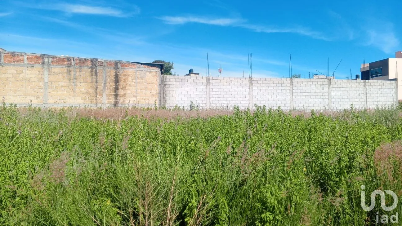 Terreno en Venta en Nueva Alemania, Cuautlancingo, Puebla | NEX-256516 | iad México | Foto 5 de 11