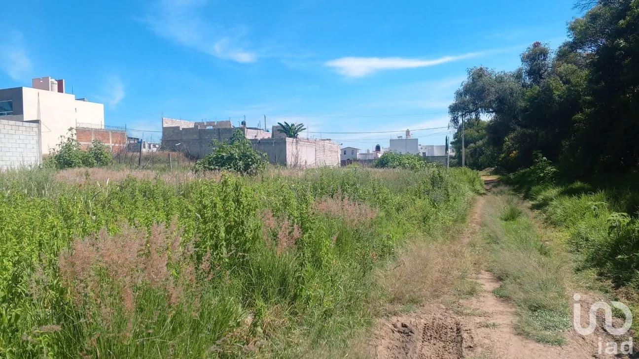 Terreno en Venta en Nueva Alemania, Cuautlancingo, Puebla | NEX-256516 | iad México | Foto 6 de 11