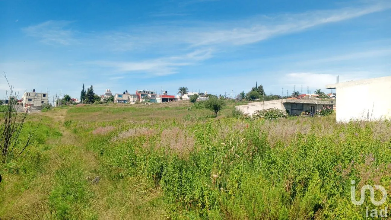 Terreno en Venta en Nueva Alemania, Cuautlancingo, Puebla | NEX-256516 | iad México | Foto 7 de 11