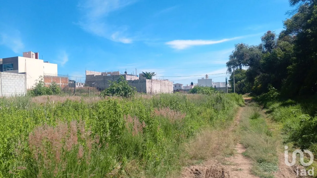Terreno en Venta en Nueva Alemania, Cuautlancingo, Puebla | NEX-256516 | iad México | Foto 8 de 11