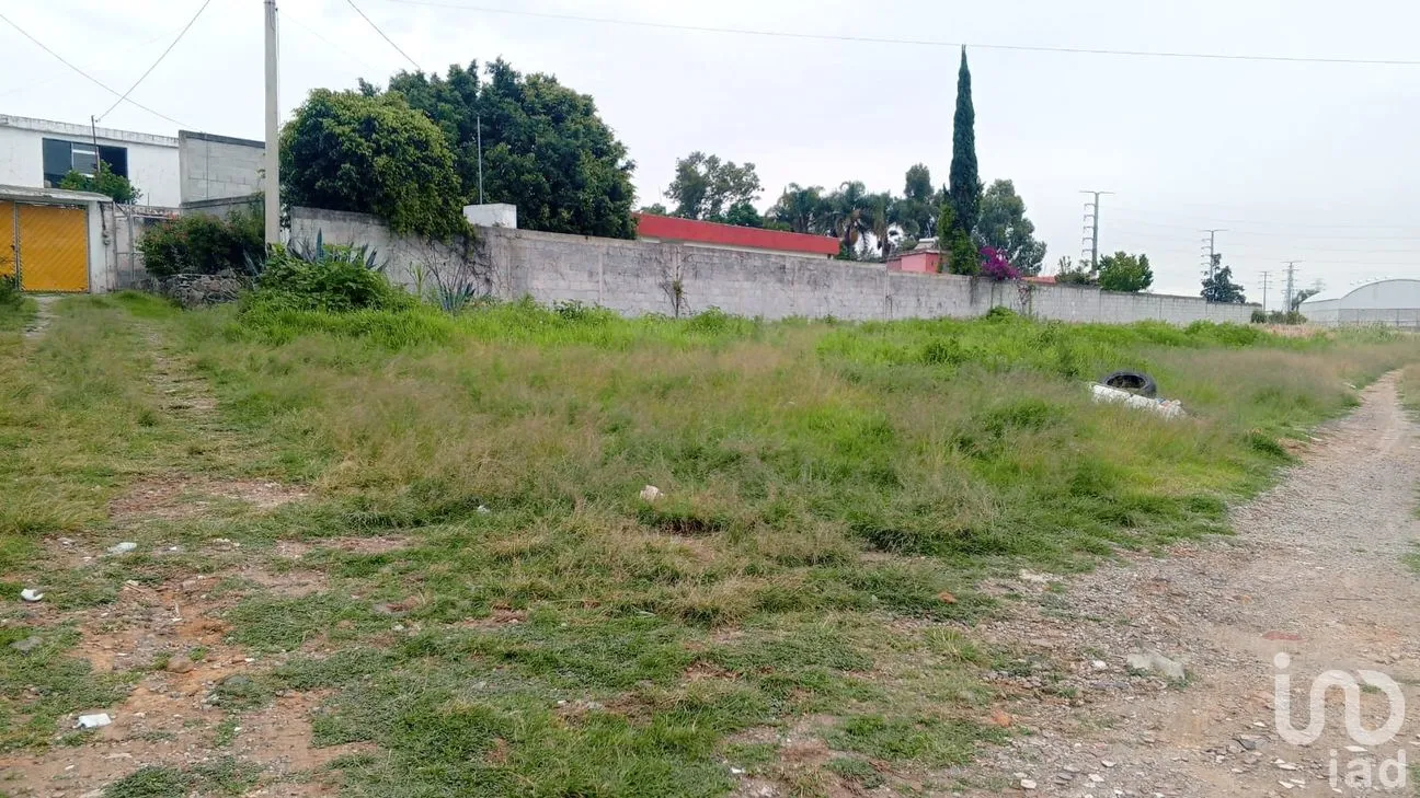 Terreno en Venta en Nueva Alemania, Cuautlancingo, Puebla | NEX-256516 | iad México | Foto 10 de 11