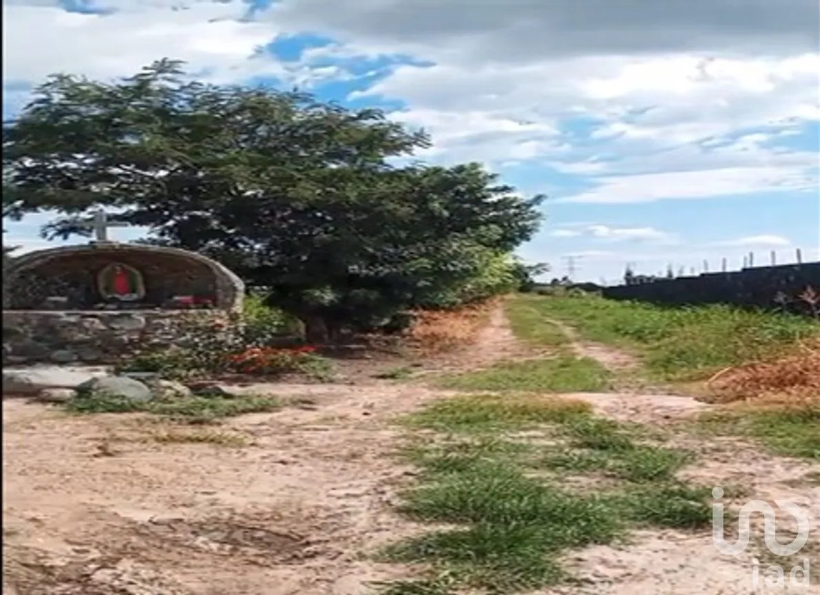 Terreno en Venta en Juan Uvera, Atlixco, Puebla | NEX-258630 | iad México | Foto 3 de 14