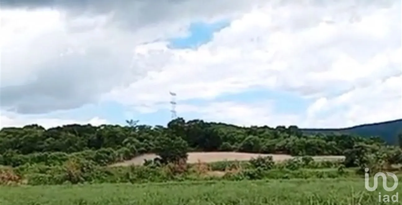 Terreno en Venta en Juan Uvera, Atlixco, Puebla | NEX-258630 | iad México | Foto 4 de 14