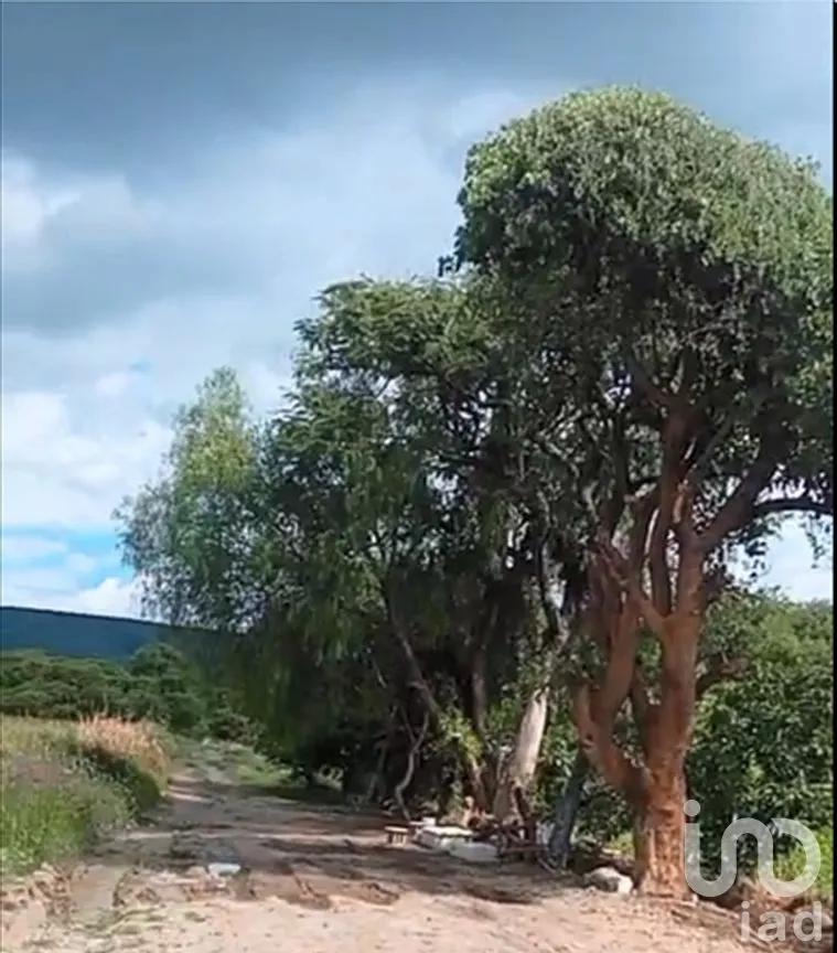 Terreno en Venta en Juan Uvera, Atlixco, Puebla | NEX-258630 | iad México | Foto 10 de 14