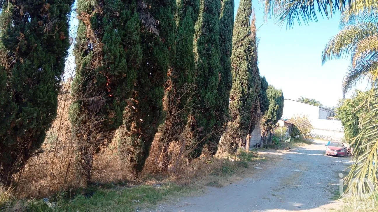 Terreno en Venta en San Antonio Cacalotepec, San Andrés Cholula, Puebla | NEX-286522 | iad México | Foto 2 de 15