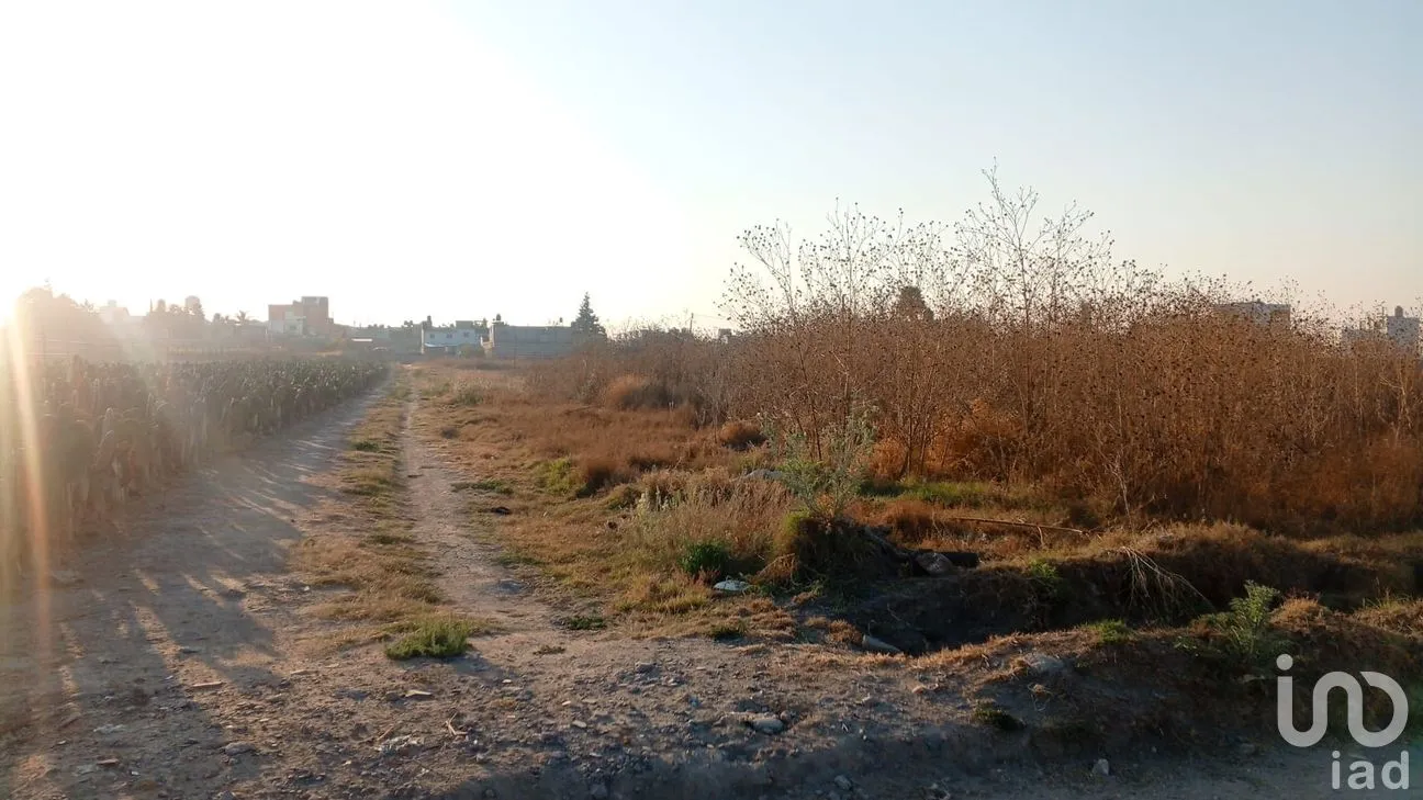Terreno en Venta en Cuayantla, San Andrés Cholula, Puebla | NEX-287723 | iad México | Foto 14 de 14
