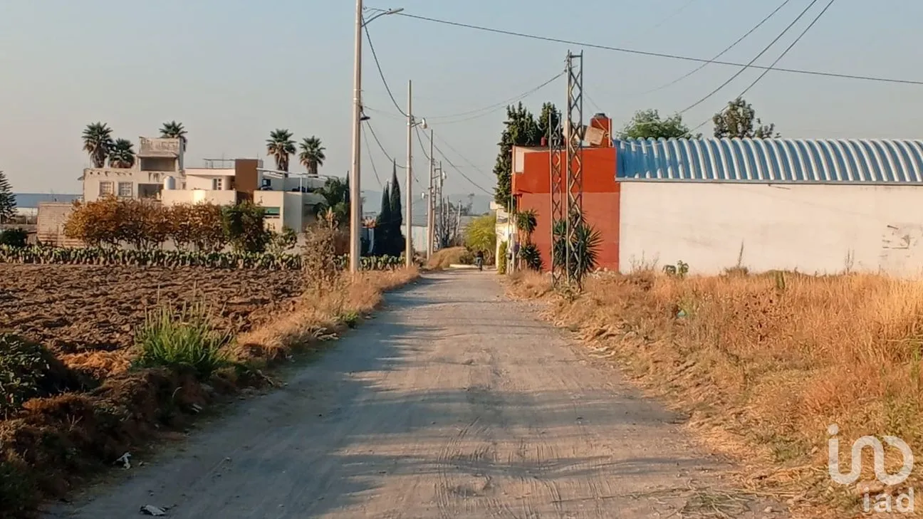 Terreno en Venta en Cuayantla, San Andrés Cholula, Puebla | NEX-287723 | iad México | Foto 8 de 14