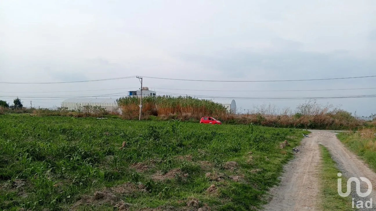 Terreno en Venta en San Bernardino Tlaxcalancingo, San Andrés Cholula, Puebla | NEX-306484 | iad México | Foto 23 de 29