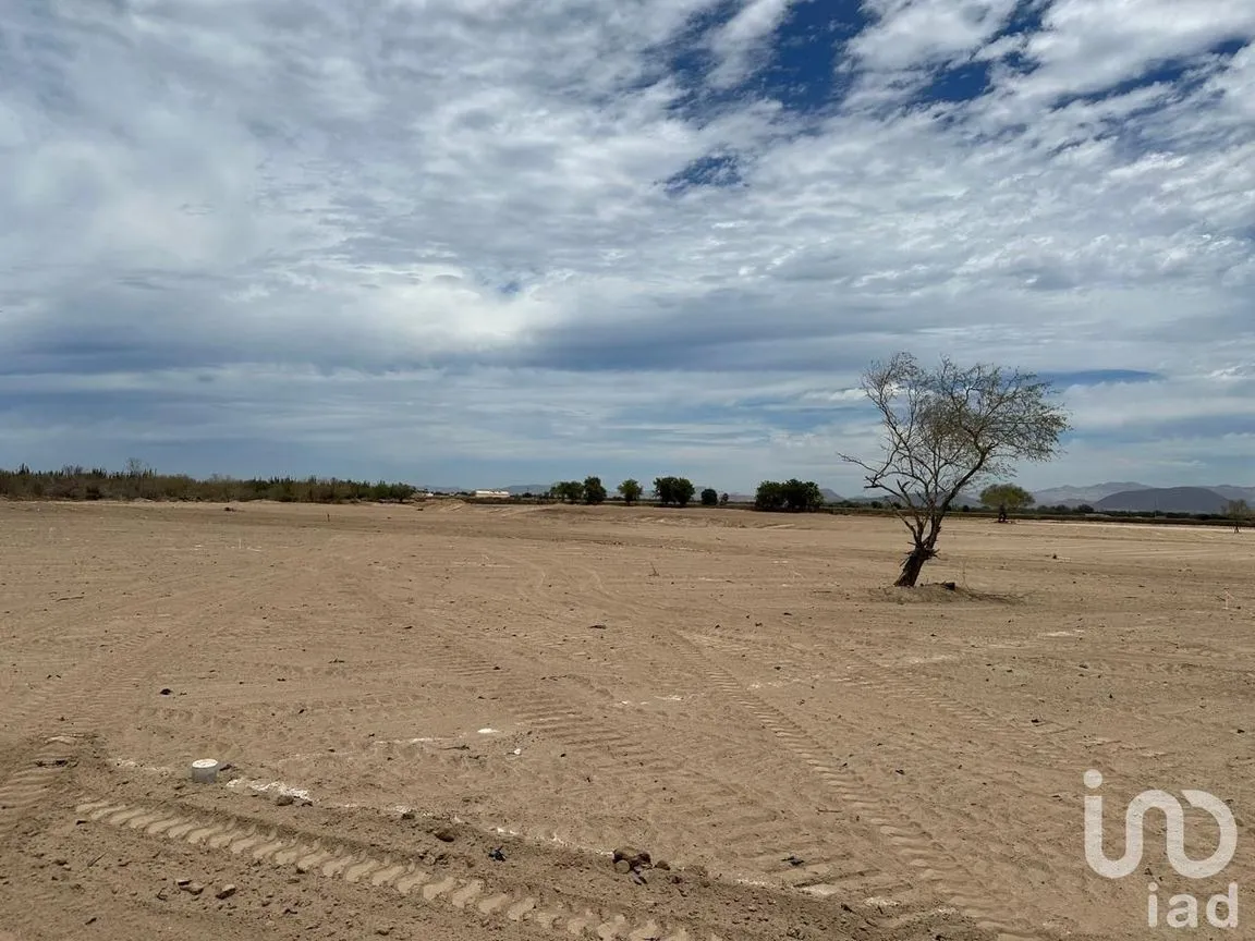 Terreno en Venta en Chametla, La Paz, Baja California Sur | NEX-249400 | iad México | Foto 4 de 7