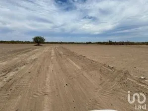 NEX-249400 - Terreno en Venta en Chametla, CP 23205, Baja California Sur.
