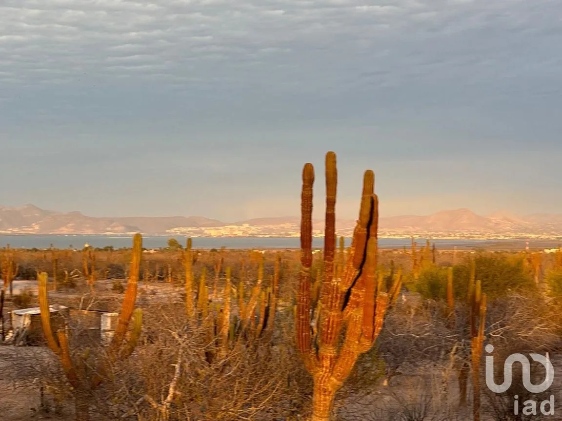 Terreno en Venta en 8 de Octubre 1a Sección, La Paz, Baja California Sur | NEX-254663 | iad México | Foto 4 de 5