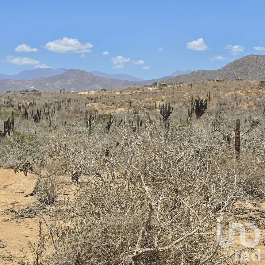 Terreno en Venta en Los Cerritos, La Paz, Baja California Sur | NEX-255489 | iad México | Foto 6 de 7