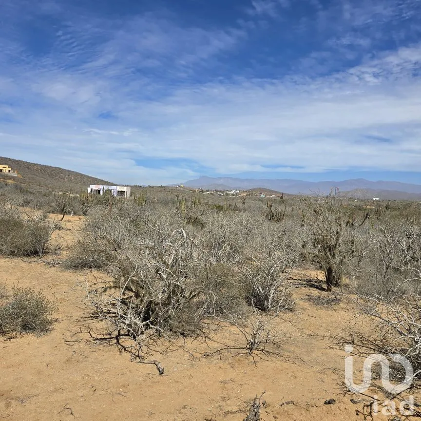 Terreno en Venta en Los Cerritos, La Paz, Baja California Sur | NEX-255489 | iad México | Foto 7 de 7