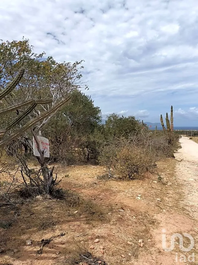 Terreno en Venta en La Ventana, La Paz, Baja California Sur | NEX-262826 | iad México | Foto 3 de 3