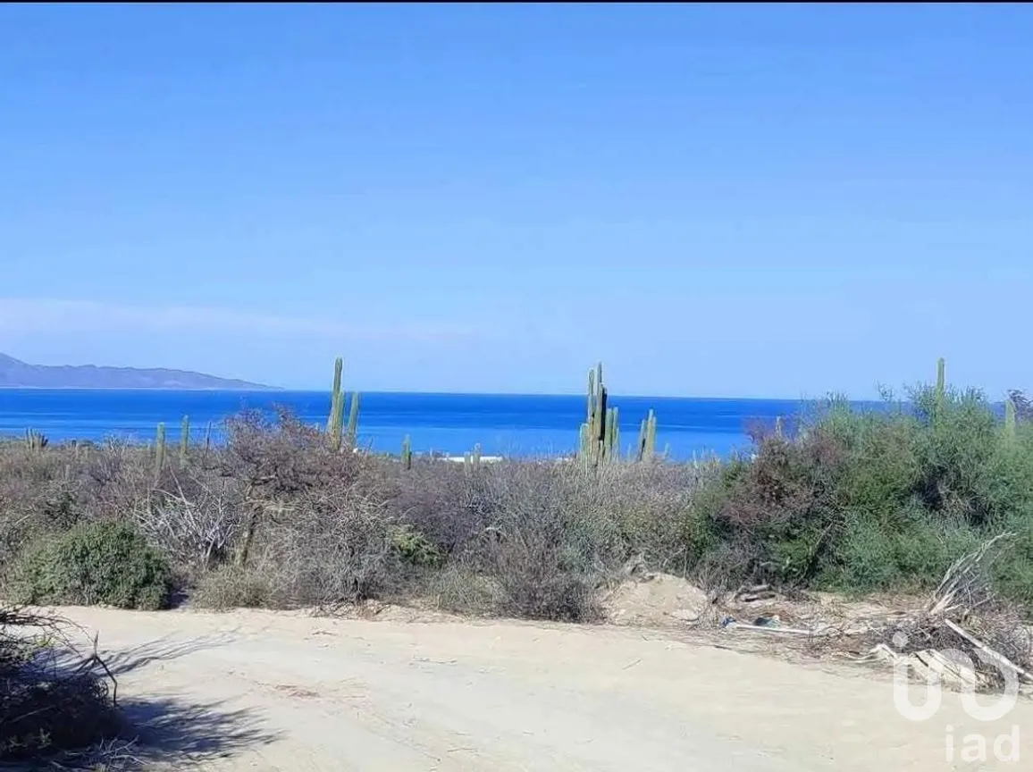 Terreno en Venta en El Sargento, La Paz, Baja California Sur | NEX-283482 | iad México | Foto 1 de 6