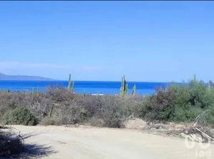 NEX-283482 - Terreno en Venta en El Sargento, CP 23232, Baja California Sur.