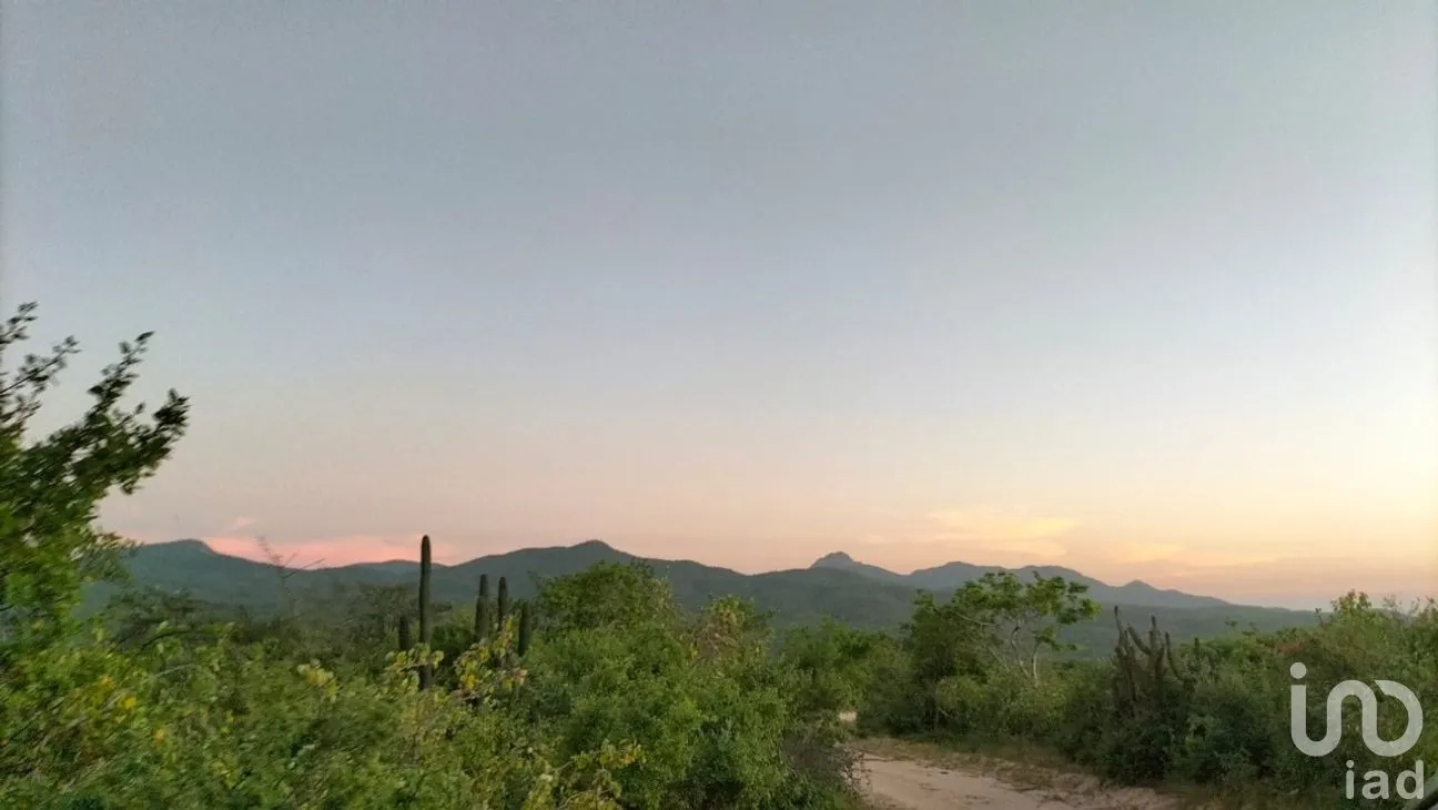 Terreno en Venta en Zona Ejidal, Los Cabos, Baja California Sur | NEX-283581 | iad México | Foto 12 de 12