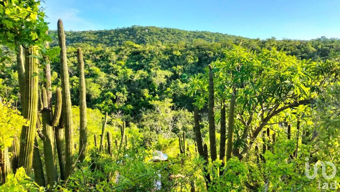 Terreno en Venta en Zona Ejidal, Los Cabos, Baja California Sur | NEX-283581 | iad México | Foto 4 de 12