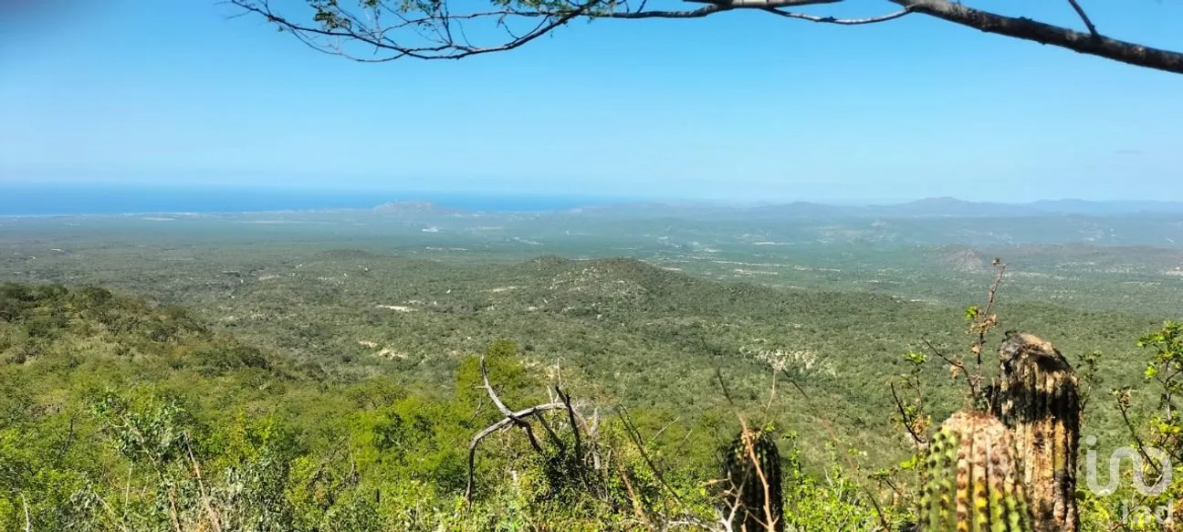 Terreno en Venta en Zona Ejidal, Los Cabos, Baja California Sur | NEX-283581 | iad México | Foto 5 de 12