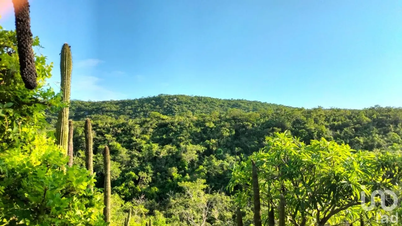 Terreno en Venta en Zona Ejidal, Los Cabos, Baja California Sur | NEX-283581 | iad México | Foto 7 de 12