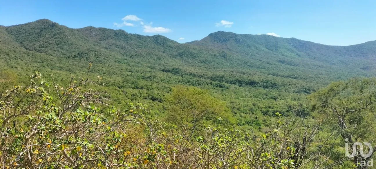 Terreno en Venta en Zona Ejidal, Los Cabos, Baja California Sur | NEX-283581 | iad México | Foto 8 de 12
