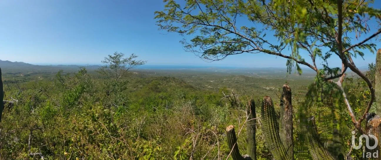 Terreno en Venta en Zona Ejidal, Los Cabos, Baja California Sur | NEX-283581 | iad México | Foto 9 de 12