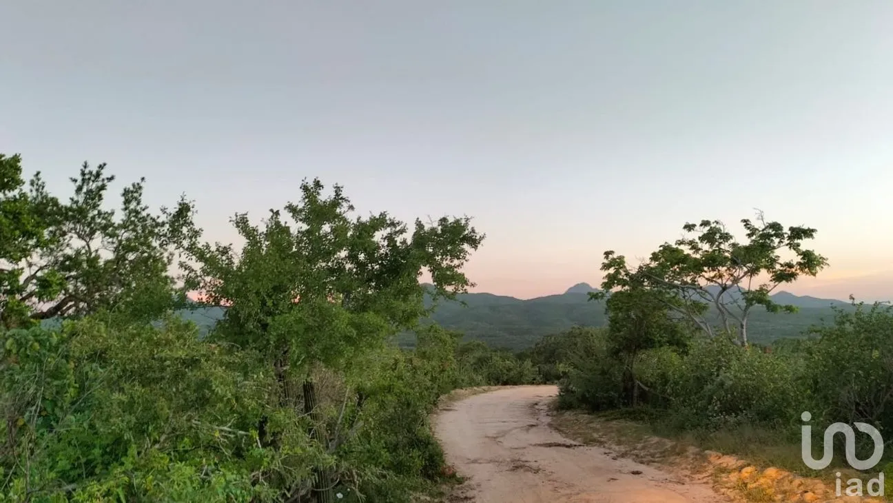 Terreno en Venta en Zona Ejidal, Los Cabos, Baja California Sur | NEX-283581 | iad México | Foto 10 de 12