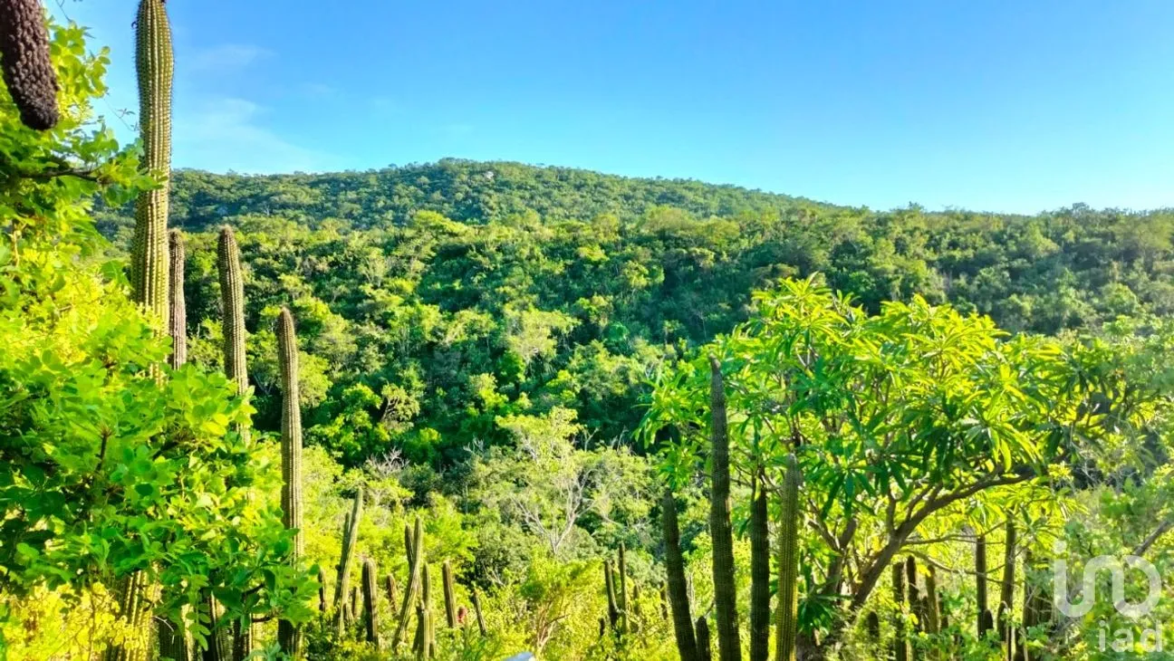 Terreno en Venta en Zona Ejidal, Los Cabos, Baja California Sur | NEX-283581 | iad México | Foto 1 de 12