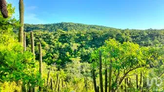NEX-283581 - Terreno en Venta en Zona Ejidal, CP 23460, Baja California Sur.