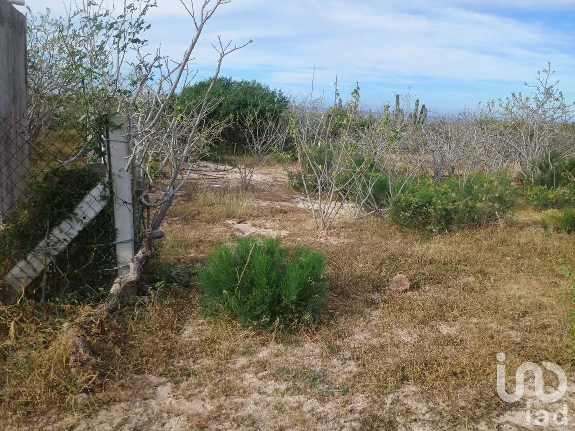 Terreno en Venta en Brisas del Pacifico, La Paz, Baja California Sur | NEX-283658 | iad México | Foto 4 de 4