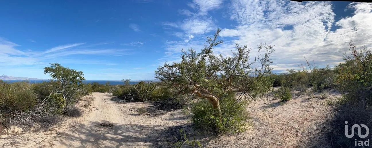 Terreno en Venta en El Sargento, La Paz, Baja California Sur | NEX-286196 | iad México | Foto 3 de 12