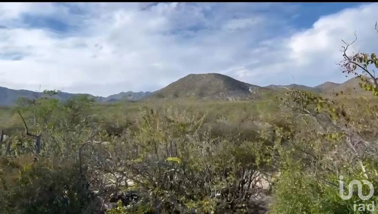 Terreno en Venta en El Sargento, La Paz, Baja California Sur | NEX-286196 | iad México | Foto 6 de 12
