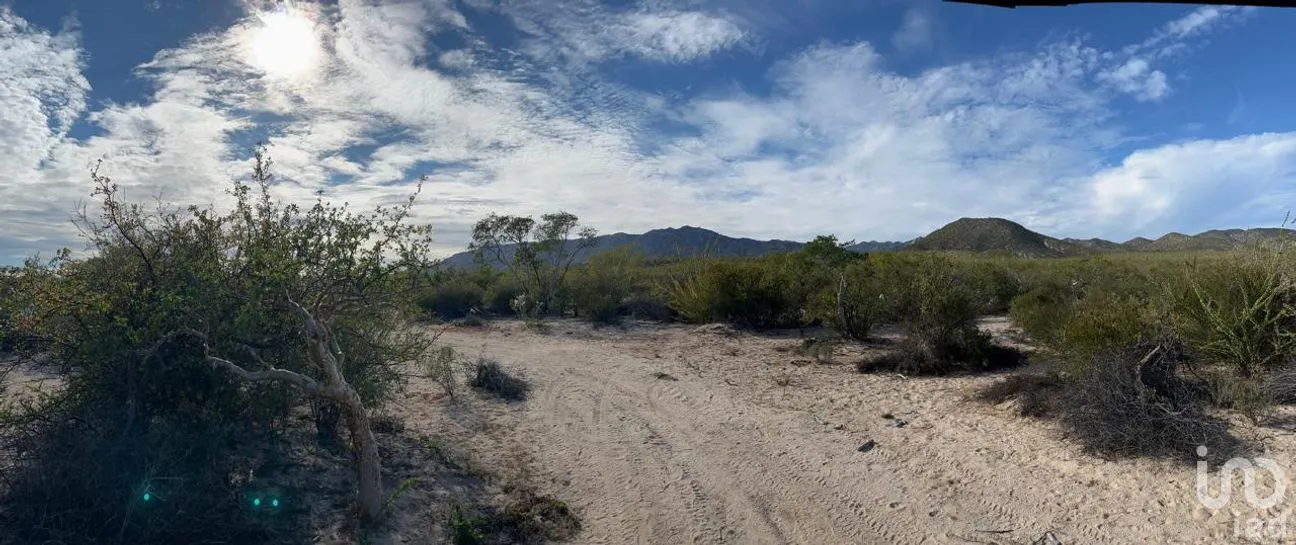 Terreno en Venta en El Sargento, La Paz, Baja California Sur | NEX-286196 | iad México | Foto 7 de 12