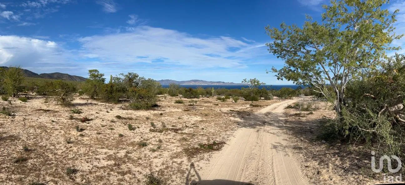 Terreno en Venta en El Sargento, La Paz, Baja California Sur | NEX-286196 | iad México | Foto 8 de 12