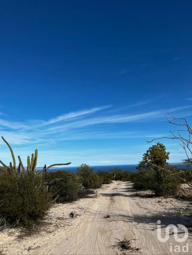 Terreno en Venta en El Sargento, La Paz, Baja California Sur | NEX-286196 | iad México | Foto 9 de 12