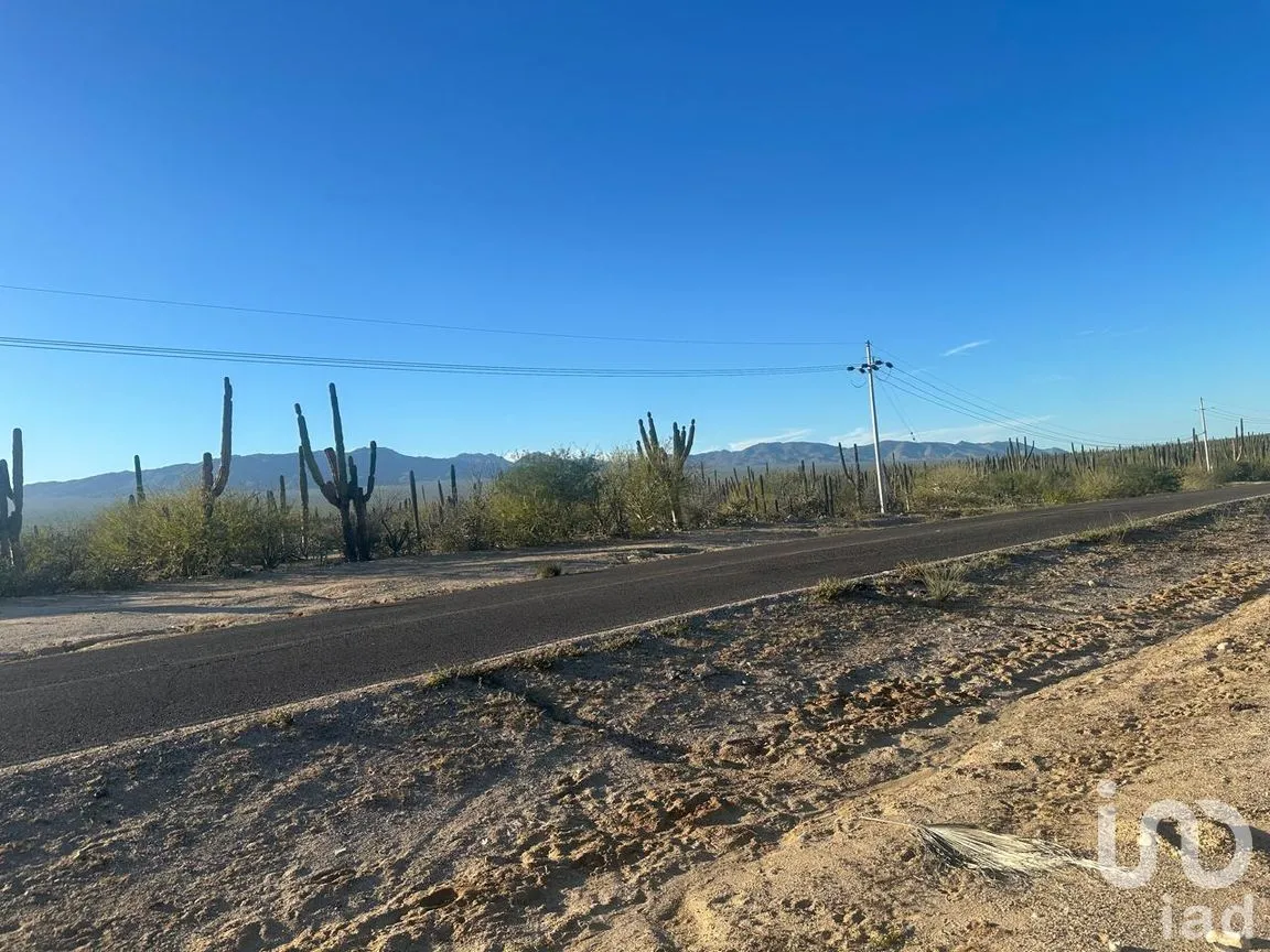 Terreno en Venta en La Ventana, La Paz, Baja California Sur | NEX-286664 | iad México | Foto 5 de 13