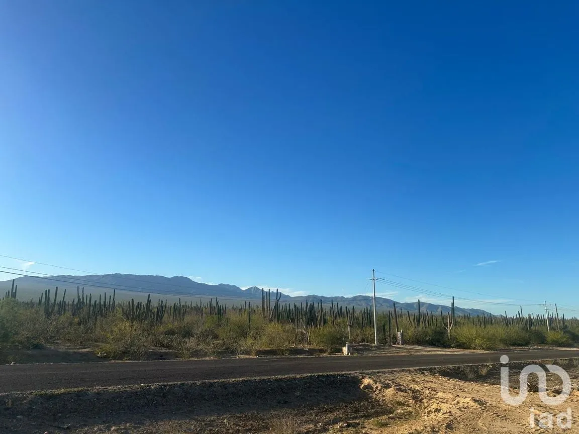 Terreno en Venta en La Ventana, La Paz, Baja California Sur | NEX-286664 | iad México | Foto 8 de 13