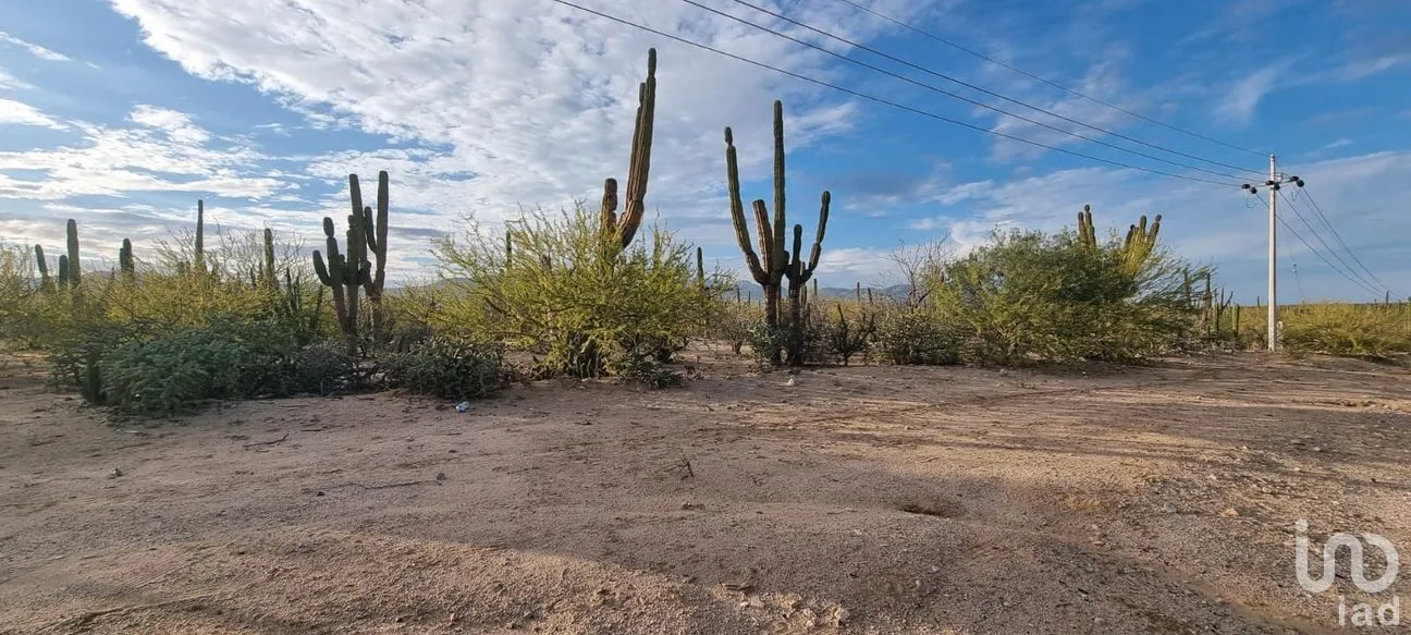 Terreno en Venta en La Ventana, La Paz, Baja California Sur | NEX-286664 | iad México | Foto 1 de 13