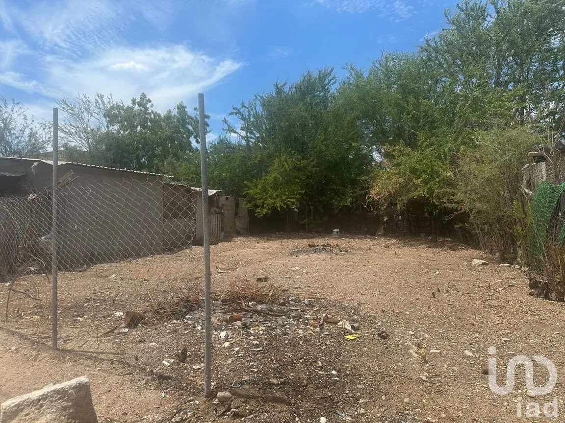Terreno en Venta en El Centenario, La Paz, Baja California Sur | NEX-301579 | iad México | Foto 3 de 10