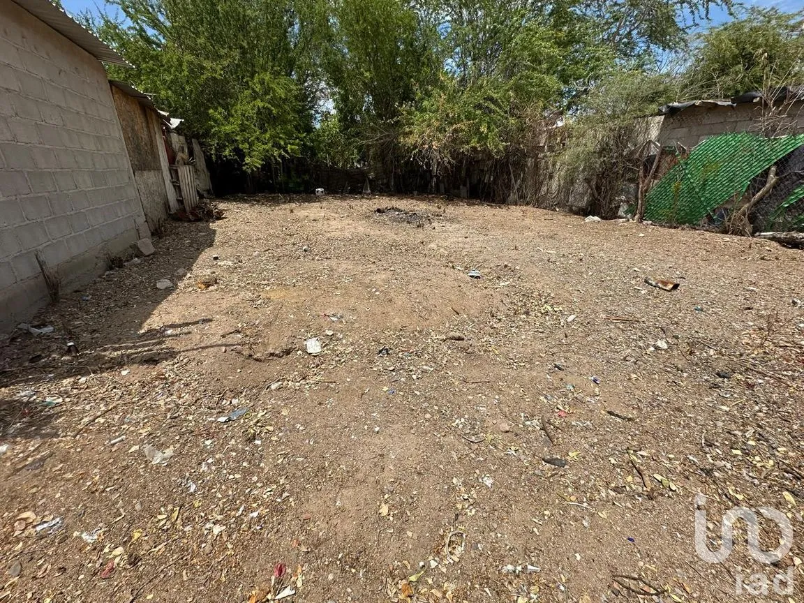 Terreno en Venta en El Centenario, La Paz, Baja California Sur | NEX-301579 | iad México | Foto 5 de 10