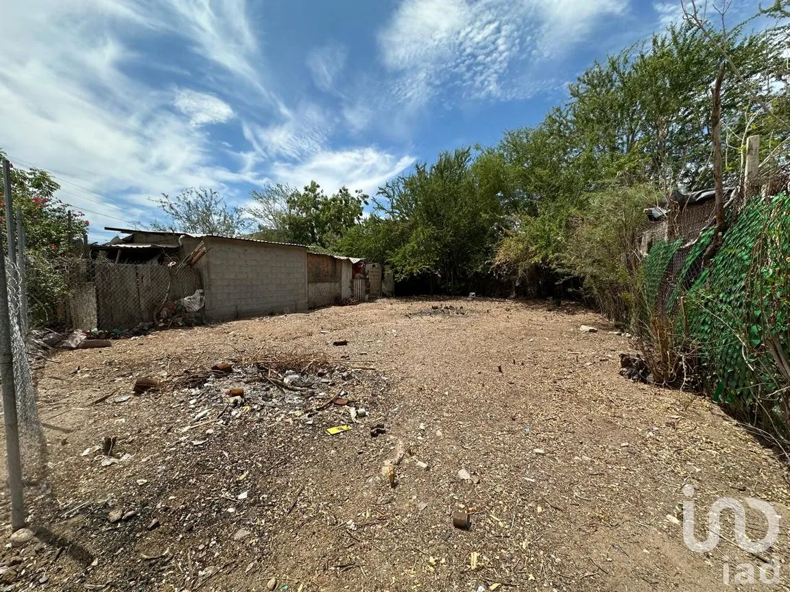 Terreno en Venta en El Centenario, La Paz, Baja California Sur | NEX-301579 | iad México | Foto 8 de 10