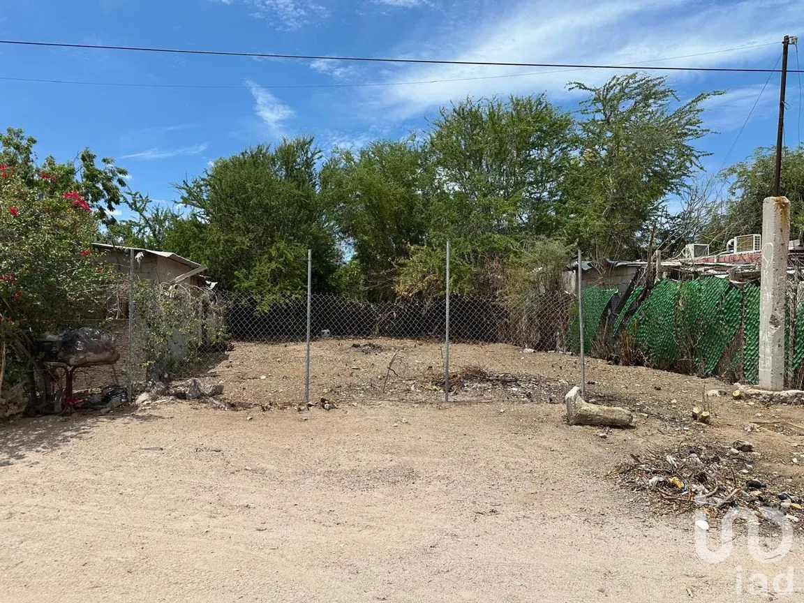 Terreno en Venta en El Centenario, La Paz, Baja California Sur | NEX-301579 | iad México | Foto 9 de 10