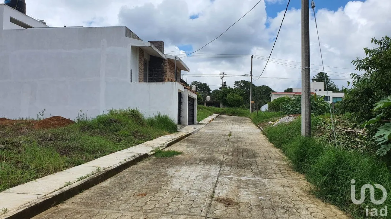 Terreno en Renta en La Palpa, Huauchinango, Puebla | NEX-218425 | iad México | Foto 3 de 5