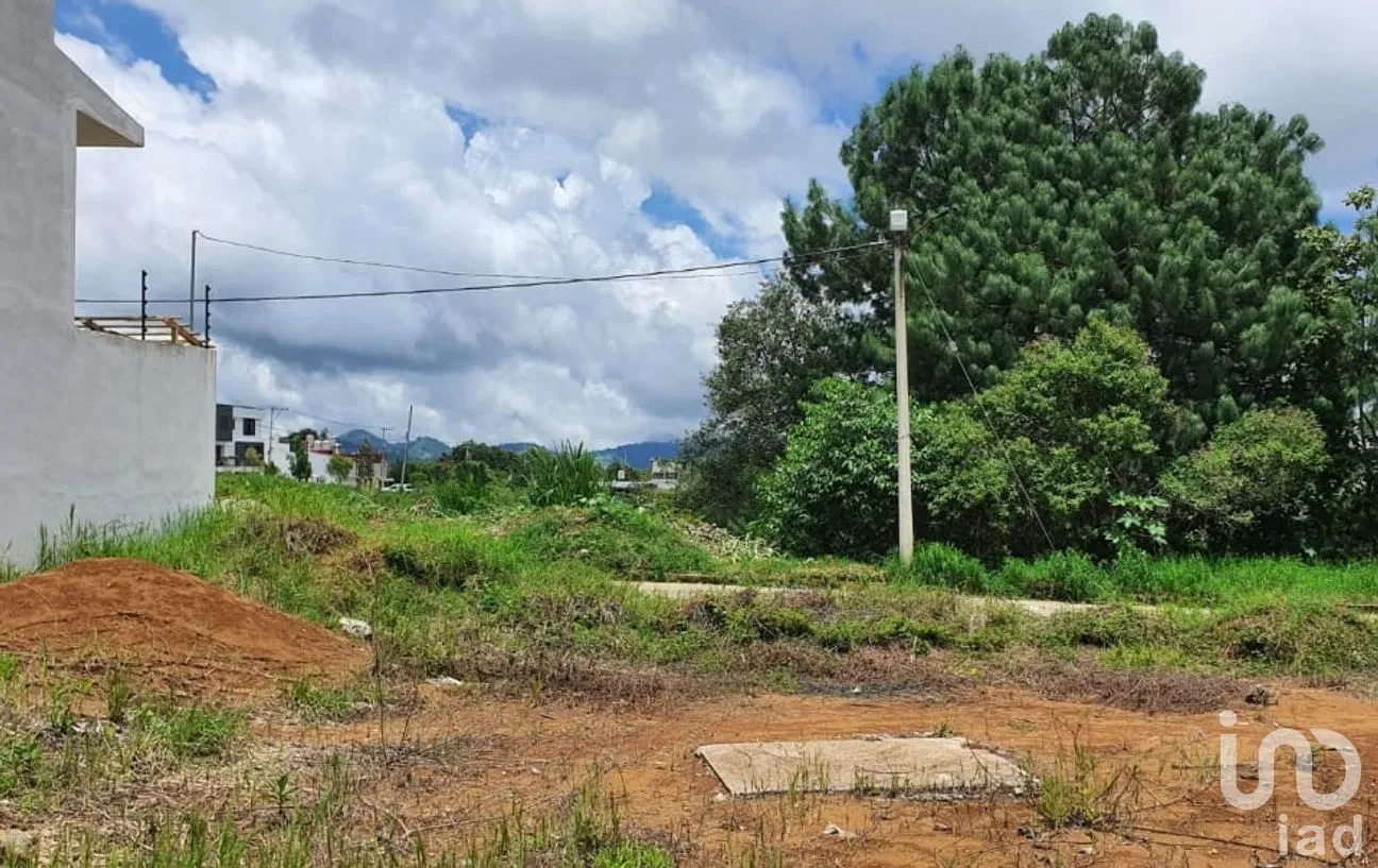 Terreno en Renta en La Palpa, Huauchinango, Puebla | NEX-218425 | iad México | Foto 4 de 5